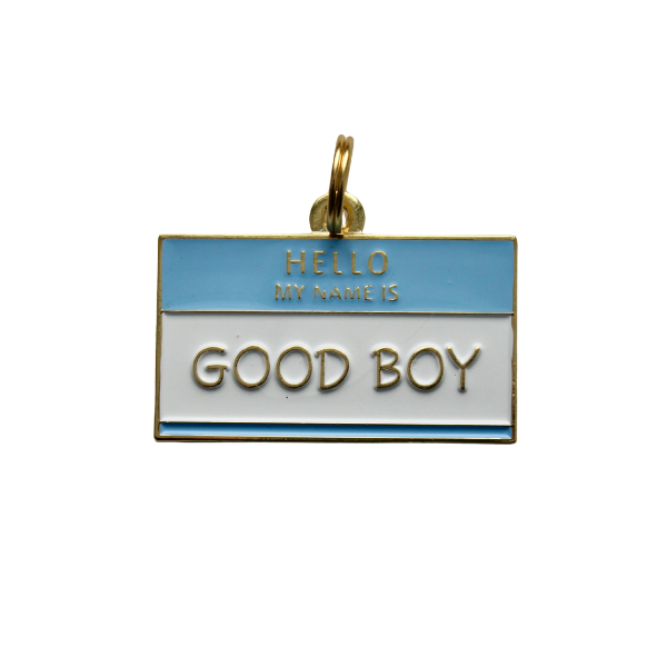 Hello My Name Is Good Boy Dog Tag